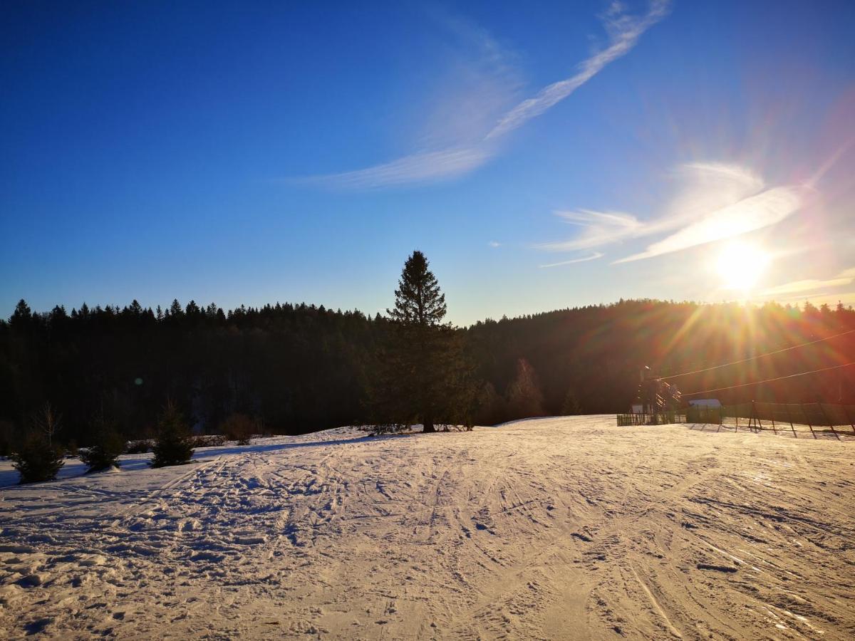 A L'oree Du Bois Chalet *